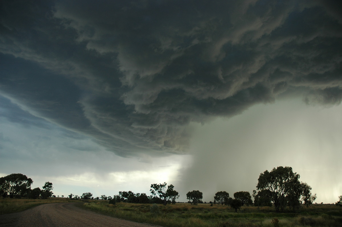 raincascade precipitation_cascade : Collarenabri, NSW   26 November 2005