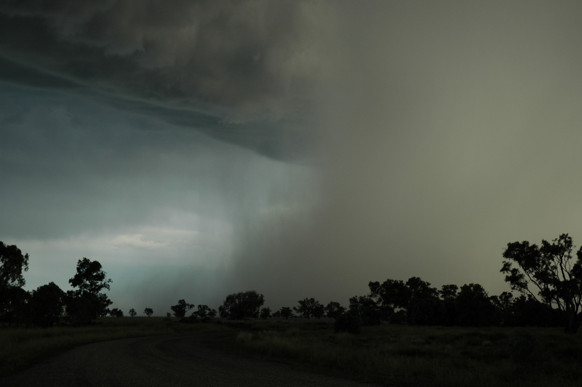 raincascade precipitation_cascade : Collarenabri, NSW   26 November 2005