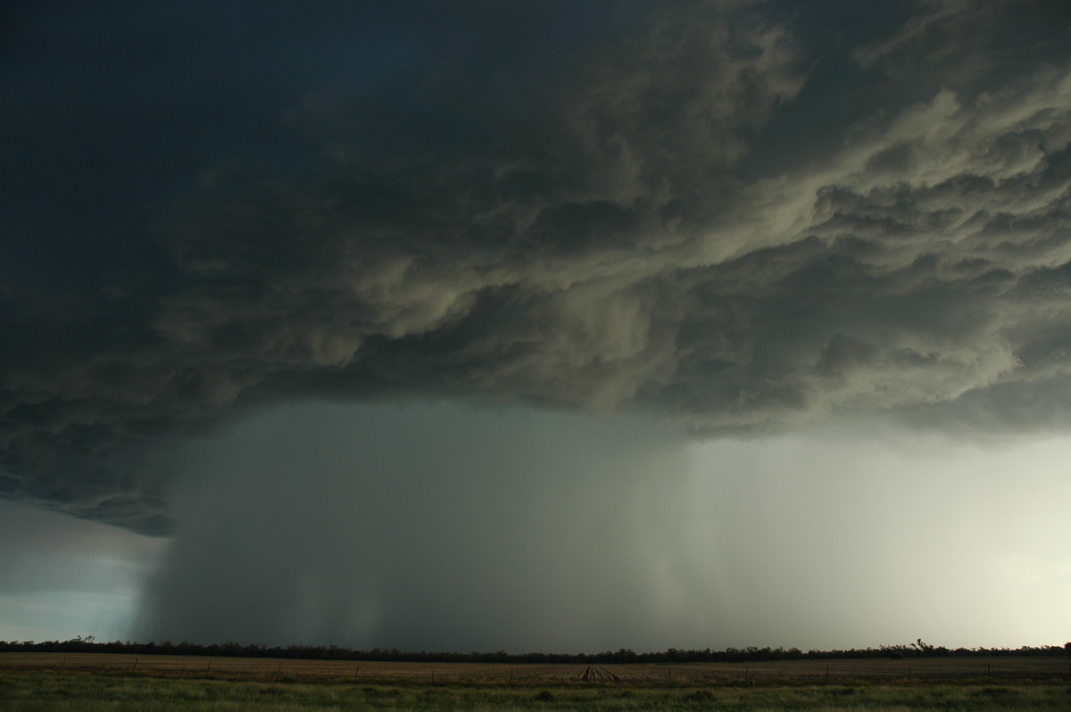 microburst micro_burst : Collarenabri, NSW   26 November 2005