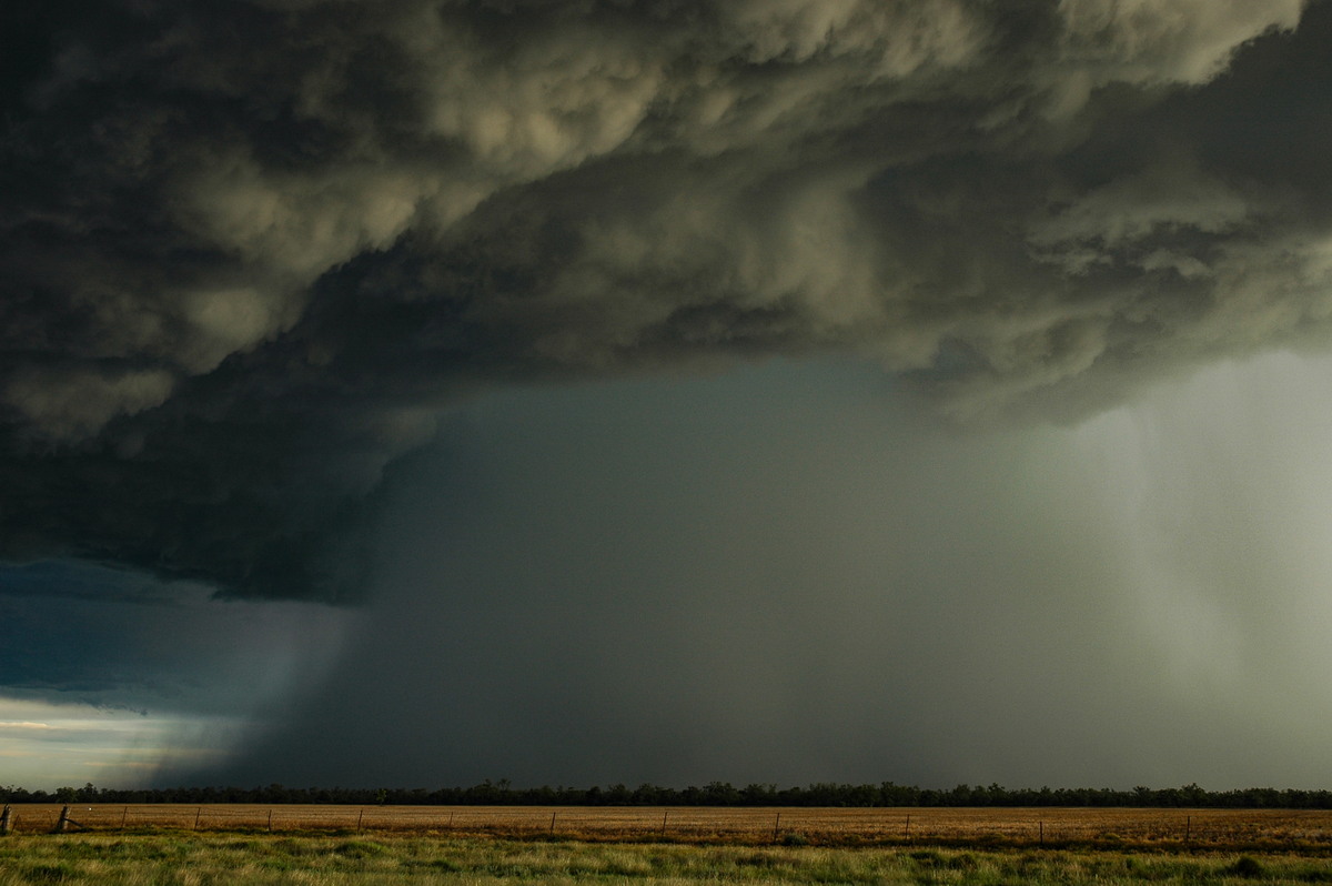 microburst micro_burst : Collarenabri, NSW   26 November 2005