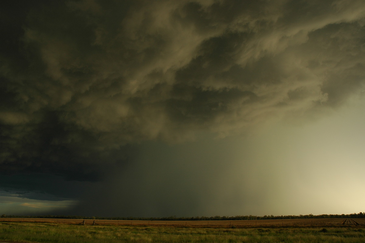 microburst micro_burst : Collarenabri, NSW   26 November 2005