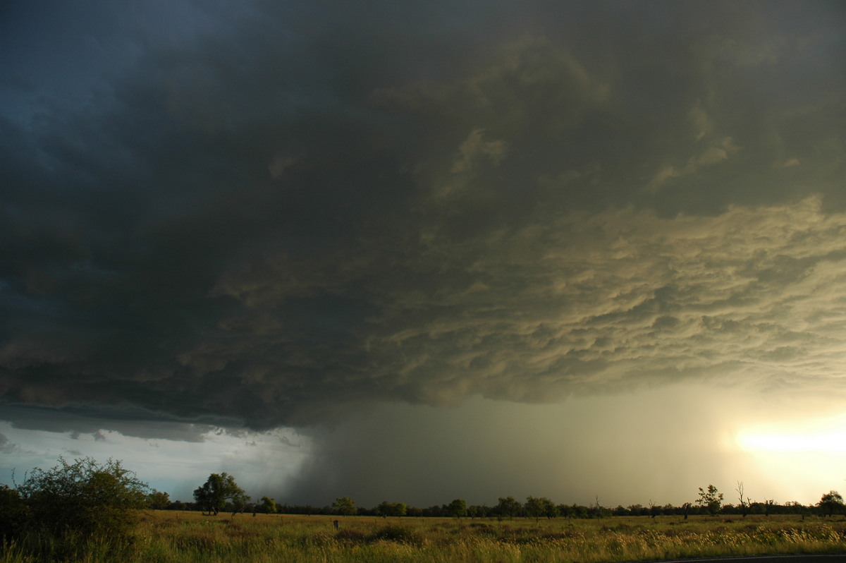 microburst micro_burst : Collarenabri, NSW   26 November 2005