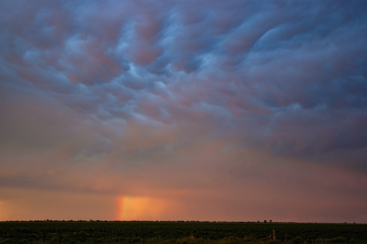 rainbow rainbow_pictures : Collarenabri, NSW   26 November 2005