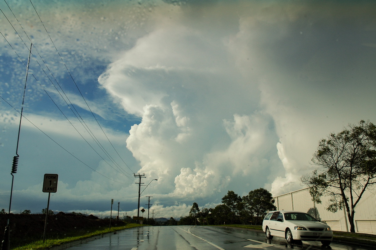 thunderstorm cumulonimbus_incus : Brisbane, QLD   27 November 2005