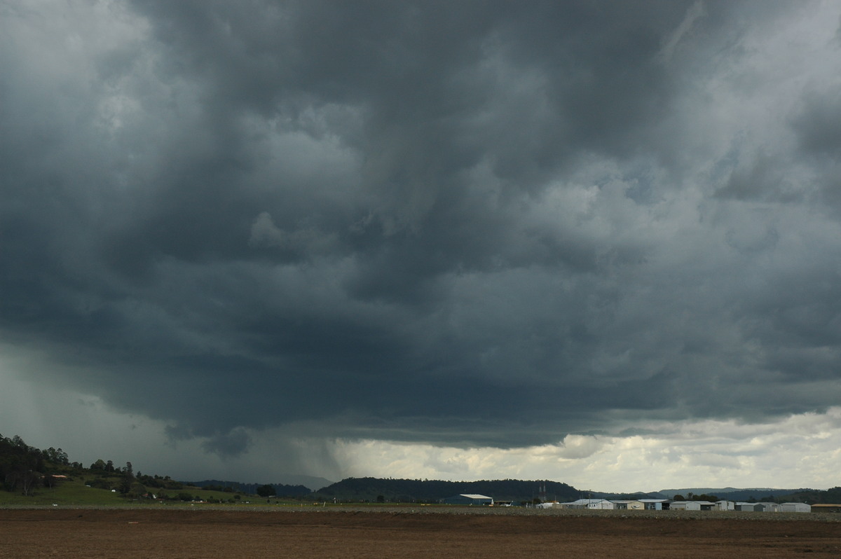 wallcloud thunderstorm_wall_cloud : Lismore, NSW   29 November 2005