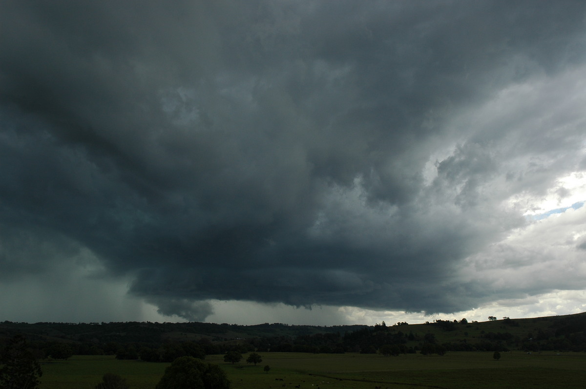 wallcloud thunderstorm_wall_cloud : near Lismore, NSW   29 November 2005