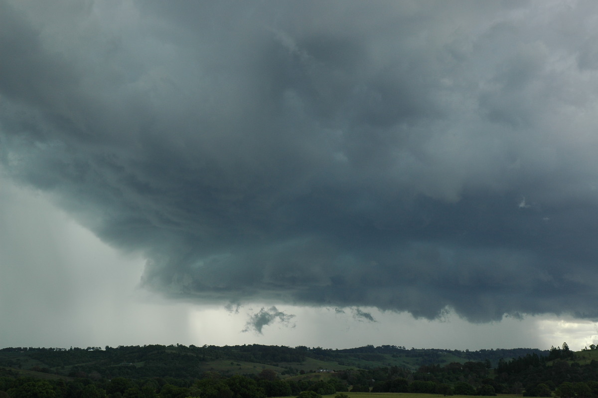 wallcloud thunderstorm_wall_cloud : near Lismore, NSW   29 November 2005