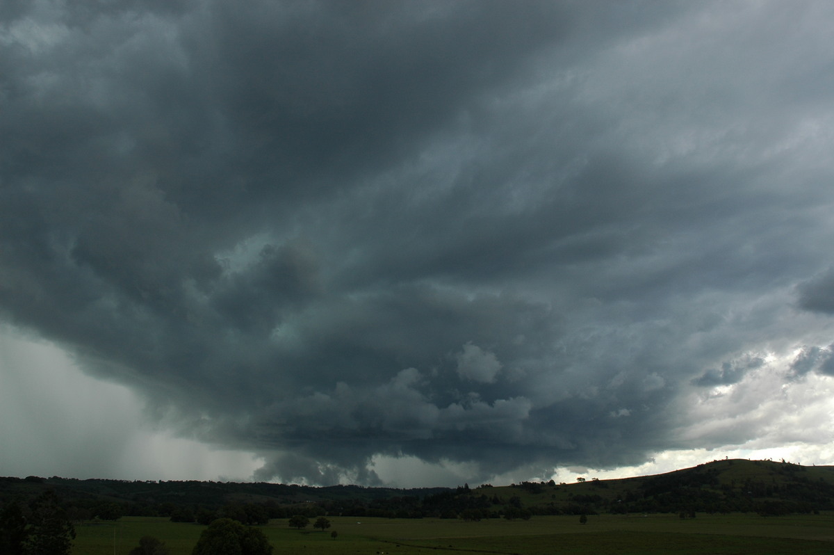 wallcloud thunderstorm_wall_cloud : near Lismore, NSW   29 November 2005