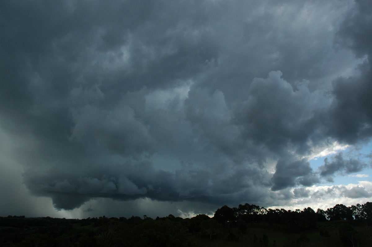 cumulonimbus thunderstorm_base : near Lismore, NSW   29 November 2005