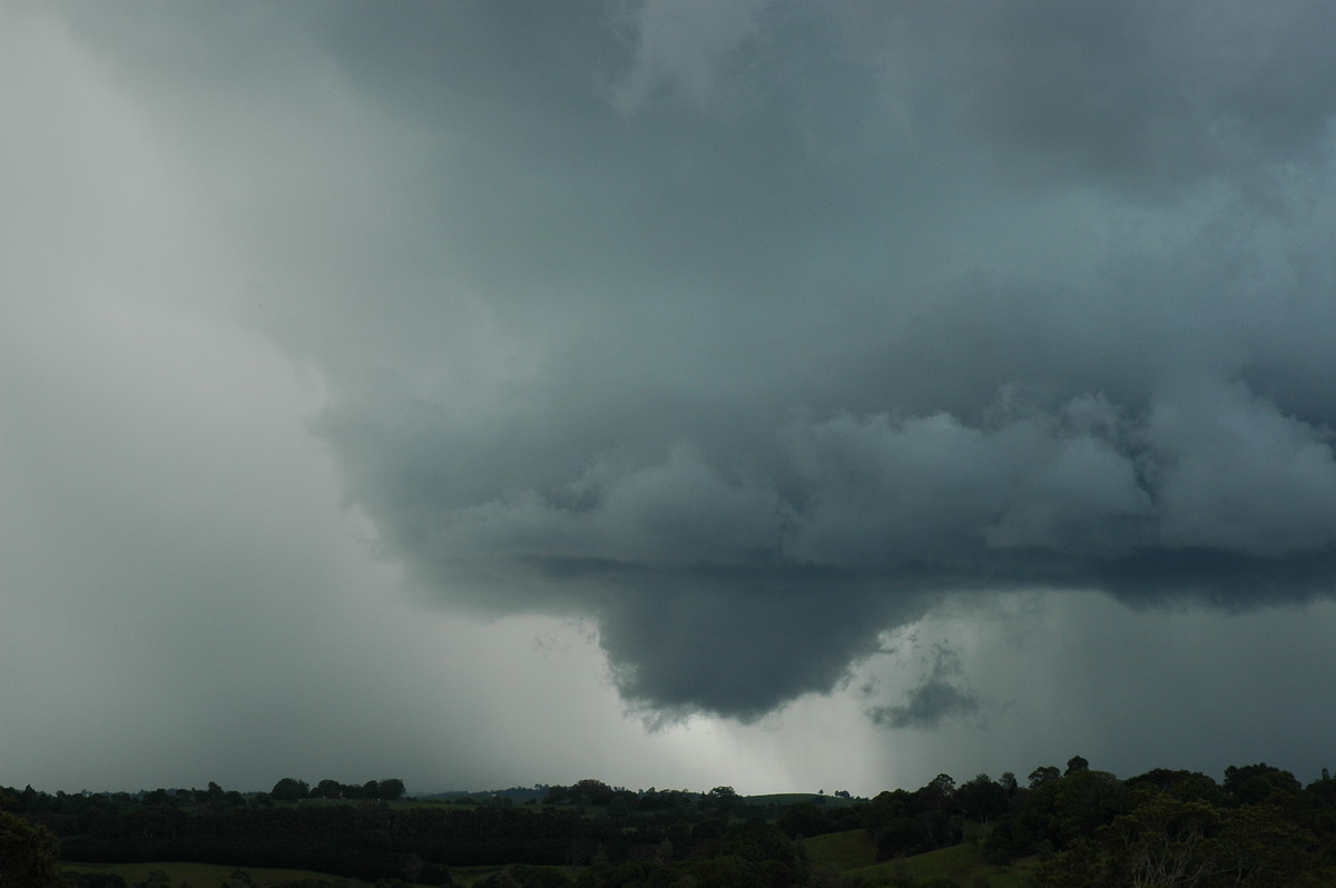 cumulonimbus thunderstorm_base : near Lismore, NSW   29 November 2005