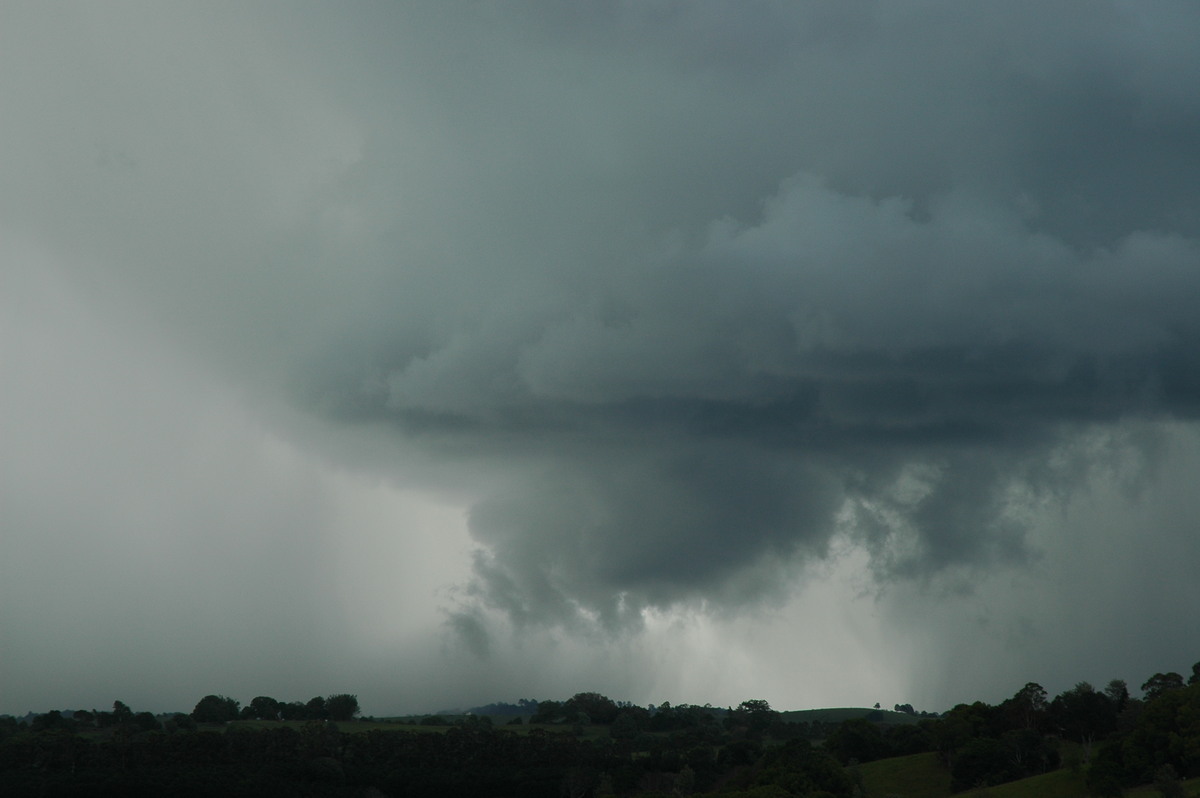 wallcloud thunderstorm_wall_cloud : near Lismore, NSW   29 November 2005