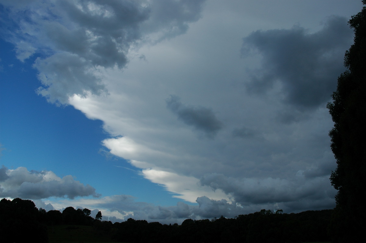 anvil thunderstorm_anvils : near Lismore, NSW   29 November 2005