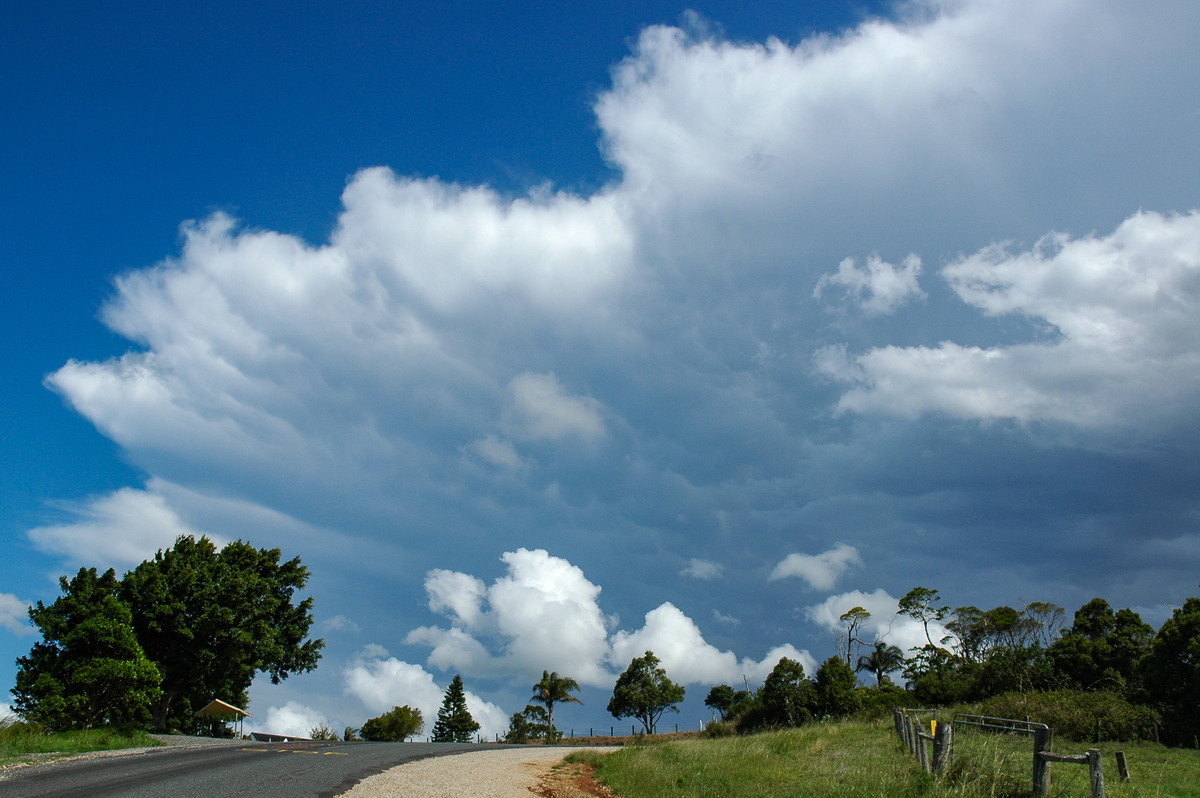 anvil thunderstorm_anvils : Saint Helena, NSW   29 November 2005