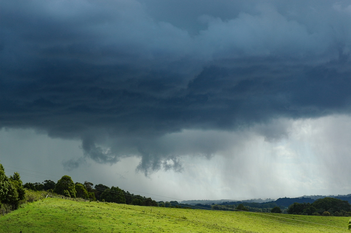 cumulonimbus thunderstorm_base : Saint Helena, NSW   29 November 2005