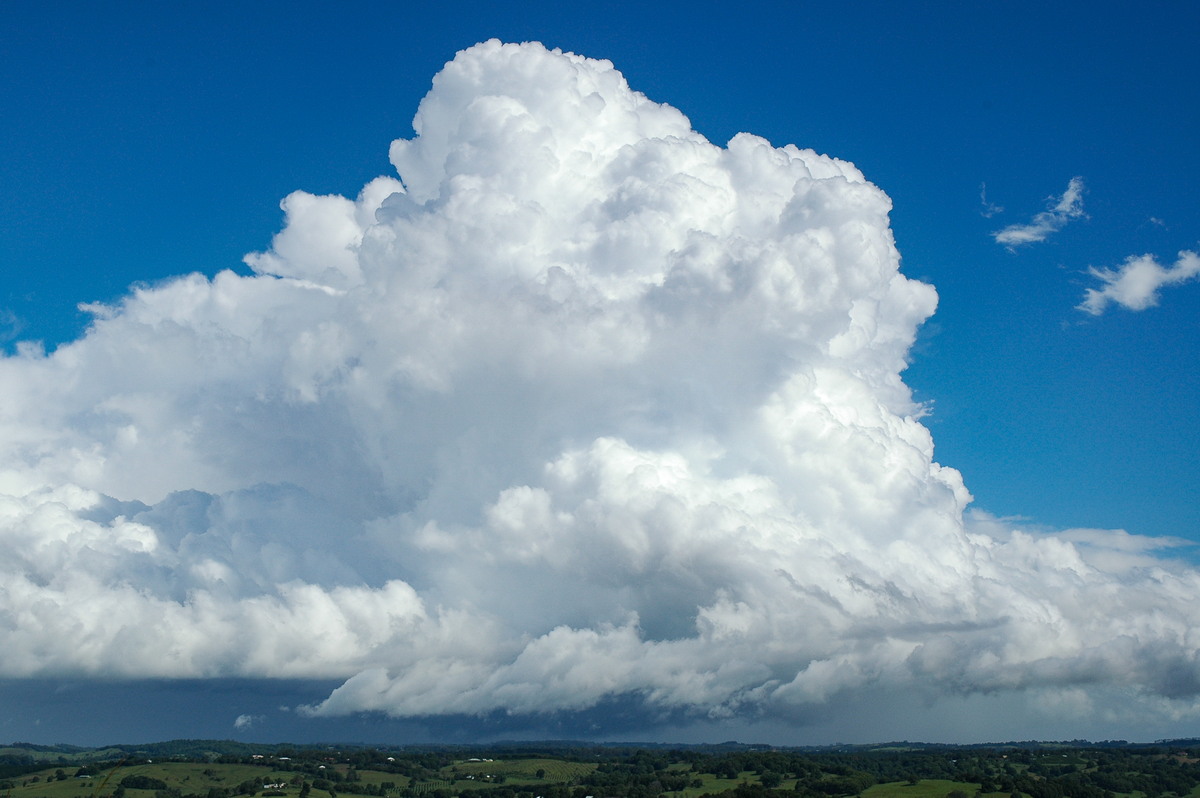 thunderstorm cumulonimbus_calvus : Clunes, NSW   29 November 2005