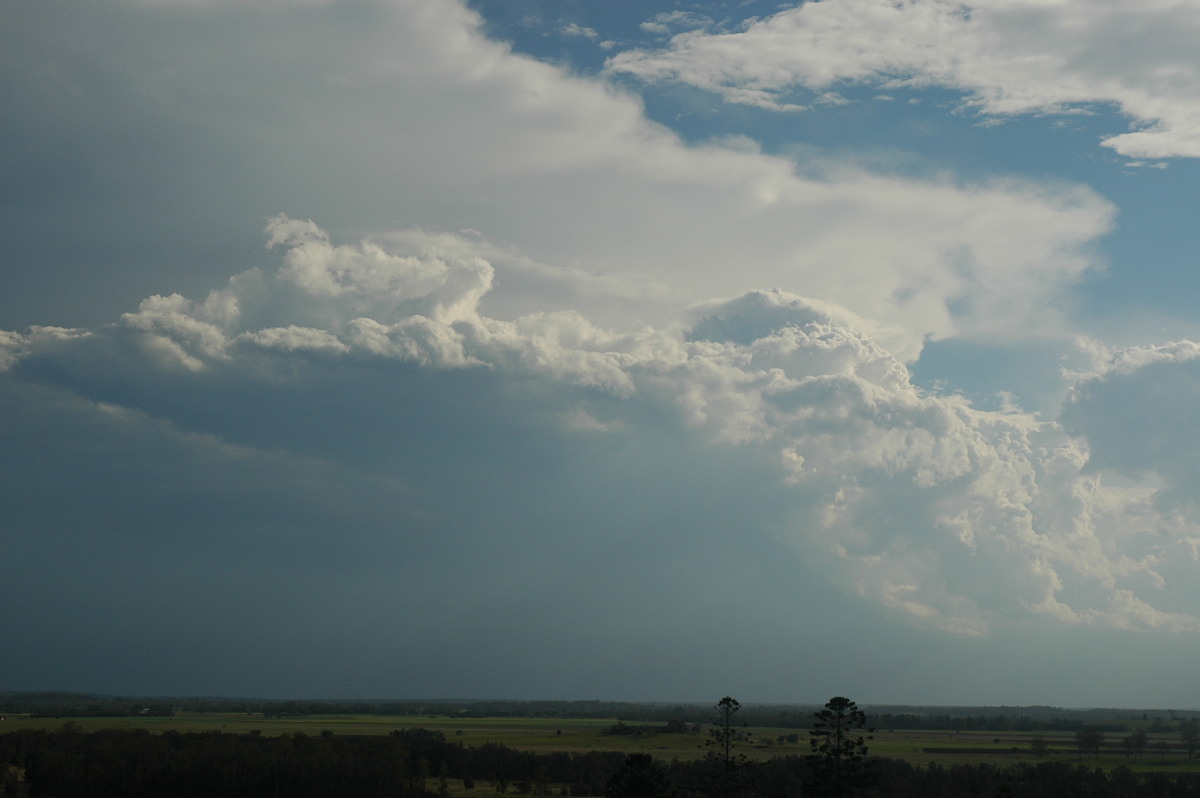 thunderstorm cumulonimbus_incus : Parrots Nest, NSW   30 November 2005