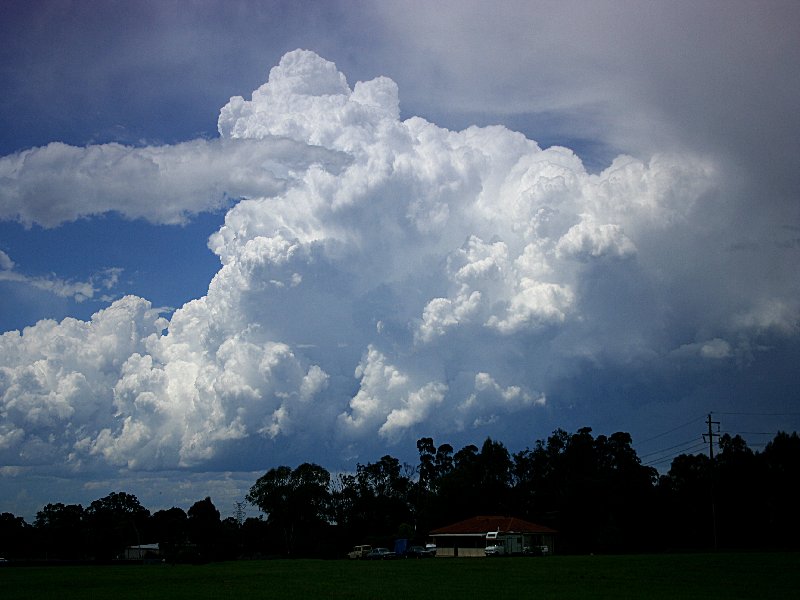 updraft thunderstorm_updrafts : St Marys, NSW   1 December 2005