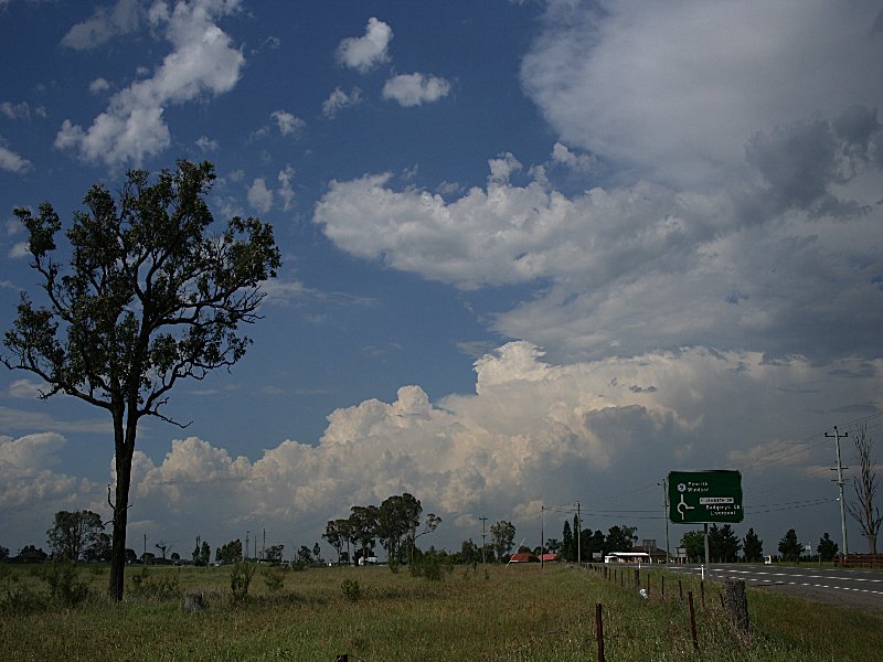 thunderstorm cumulonimbus_incus : Luddenham, NSW   1 December 2005