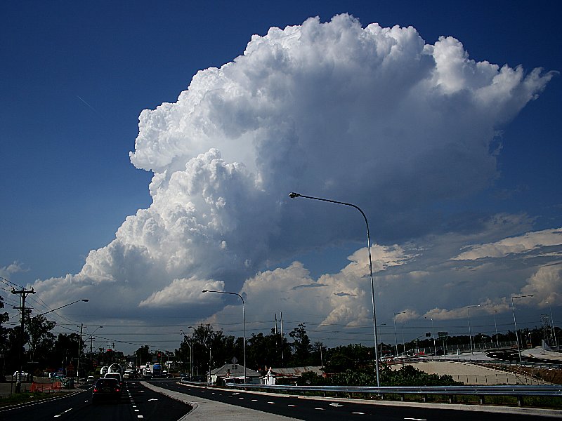 thunderstorm cumulonimbus_calvus : Horsley Park, NSW   1 December 2005