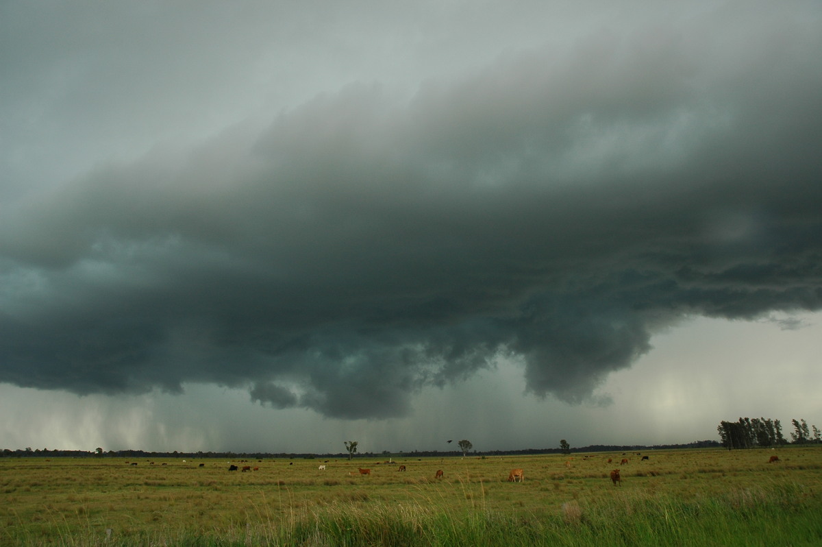 shelfcloud shelf_cloud : Coraki, NSW   1 December 2005