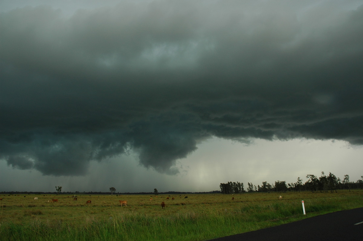 cumulonimbus thunderstorm_base : Coraki, NSW   1 December 2005