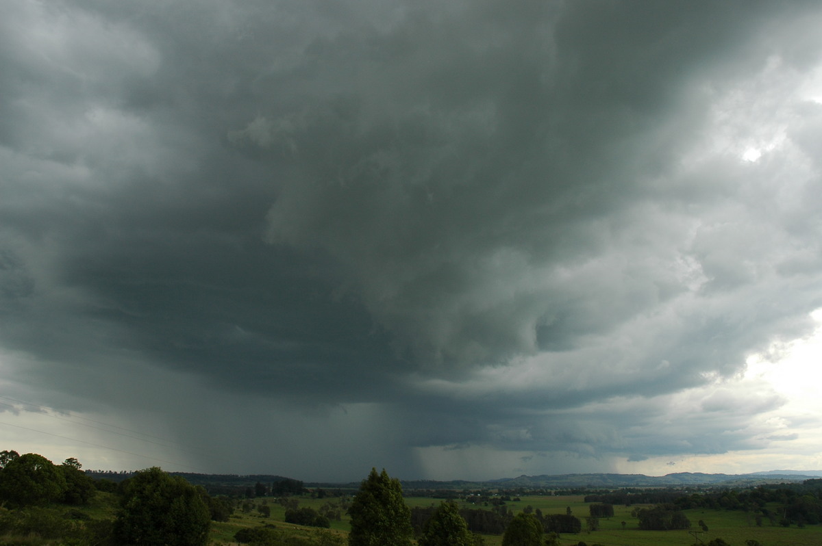 cumulonimbus thunderstorm_base : Tregeagle, NSW   2 December 2005