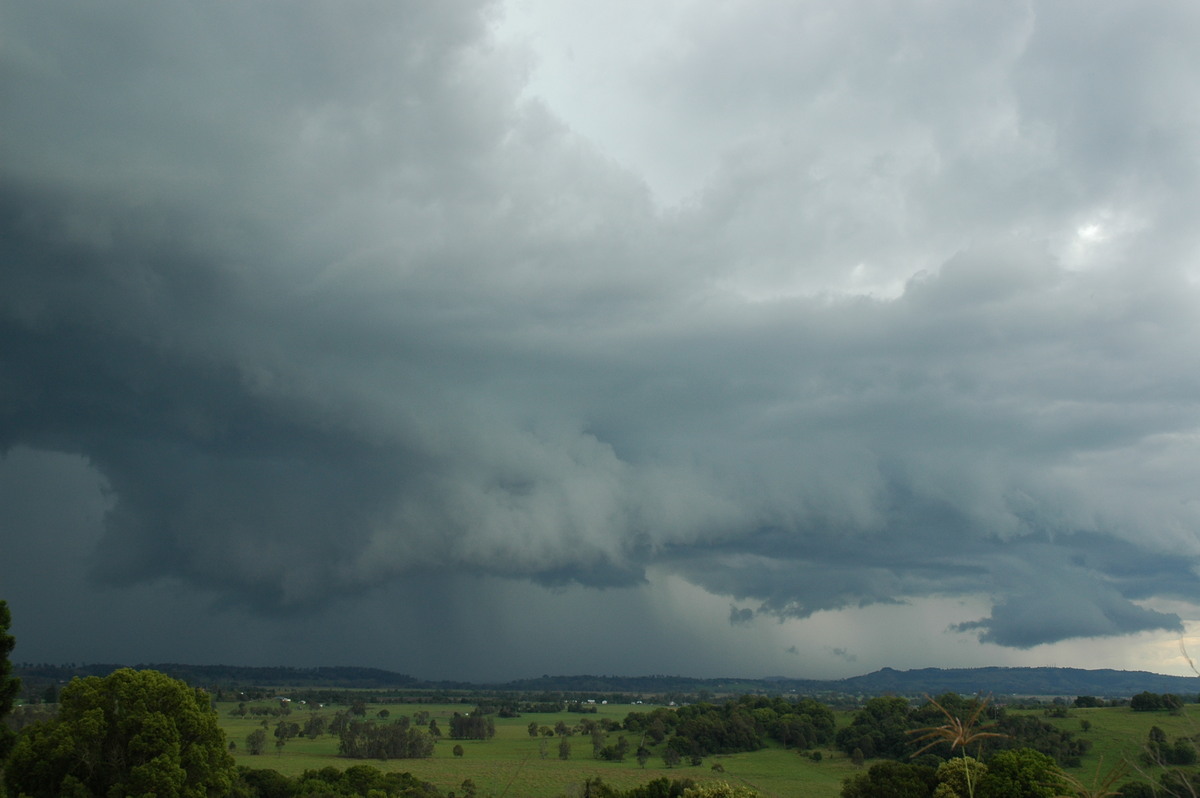 raincascade precipitation_cascade : Tregeagle, NSW   2 December 2005