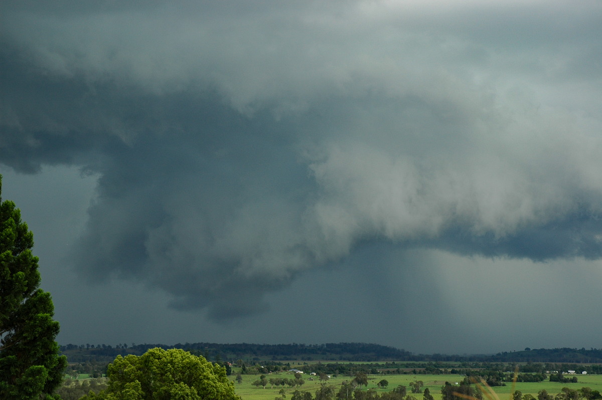 shelfcloud shelf_cloud : Tregeagle, NSW   2 December 2005