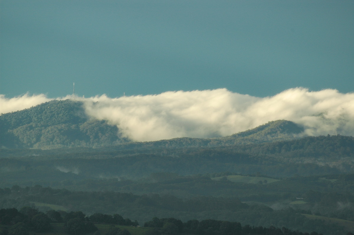 favourites michael_bath : McLeans Ridges, NSW   8 December 2005