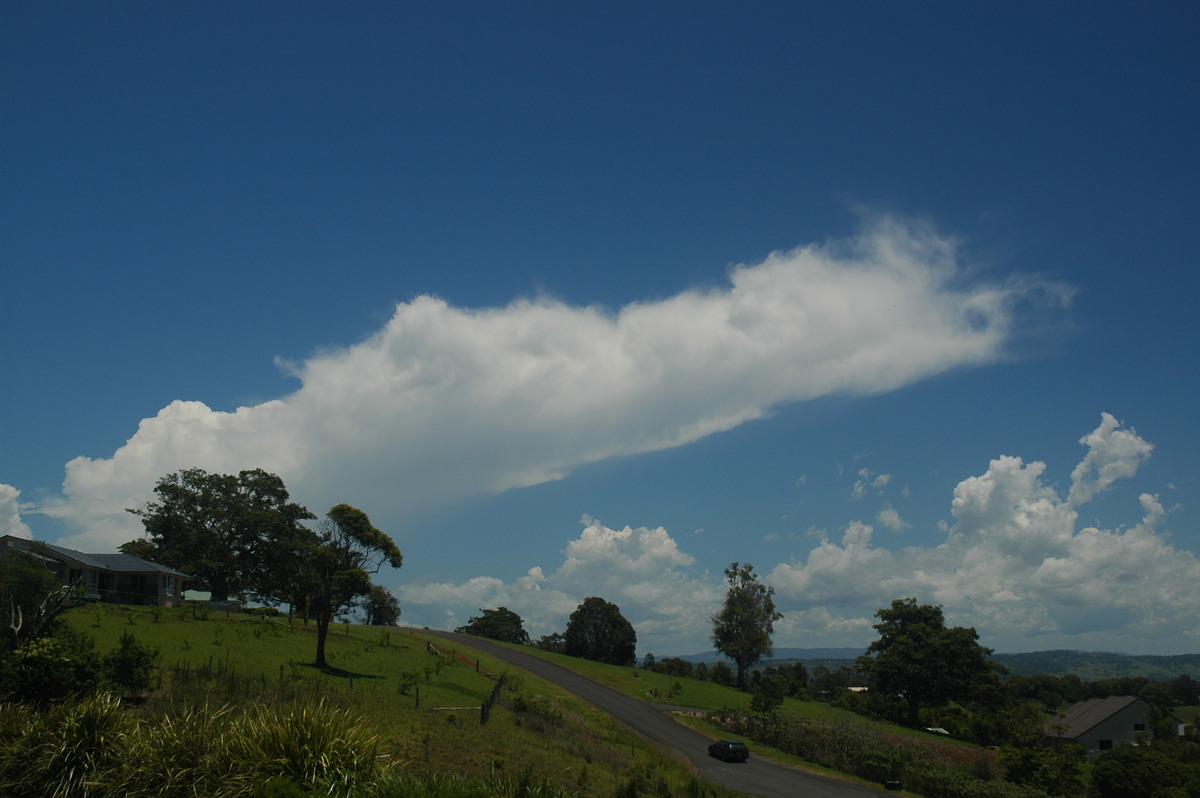 anvil thunderstorm_anvils : McLeans Ridges, NSW   9 December 2005