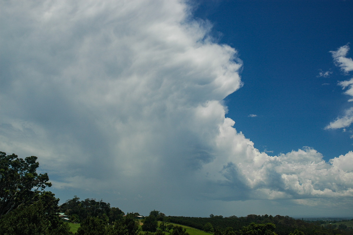 anvil thunderstorm_anvils : Tregeagle, NSW   9 December 2005