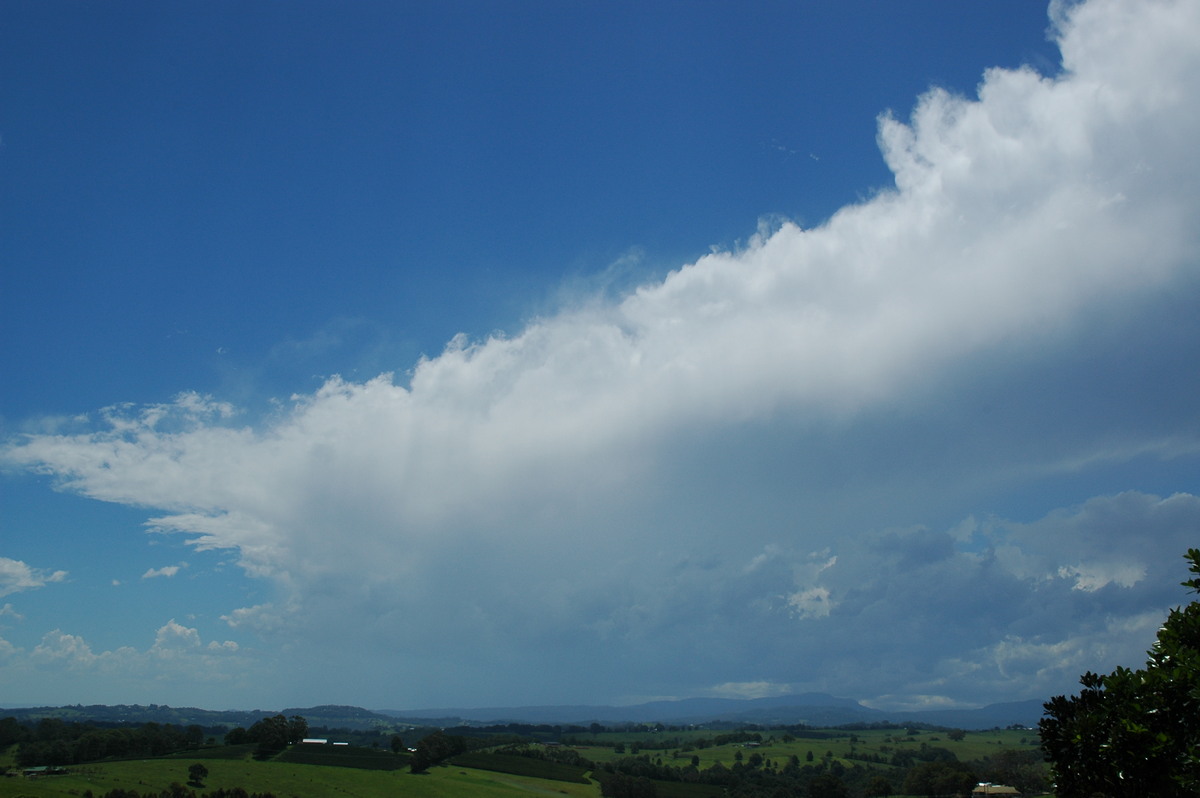 anvil thunderstorm_anvils : Saint Helena, NSW   9 December 2005