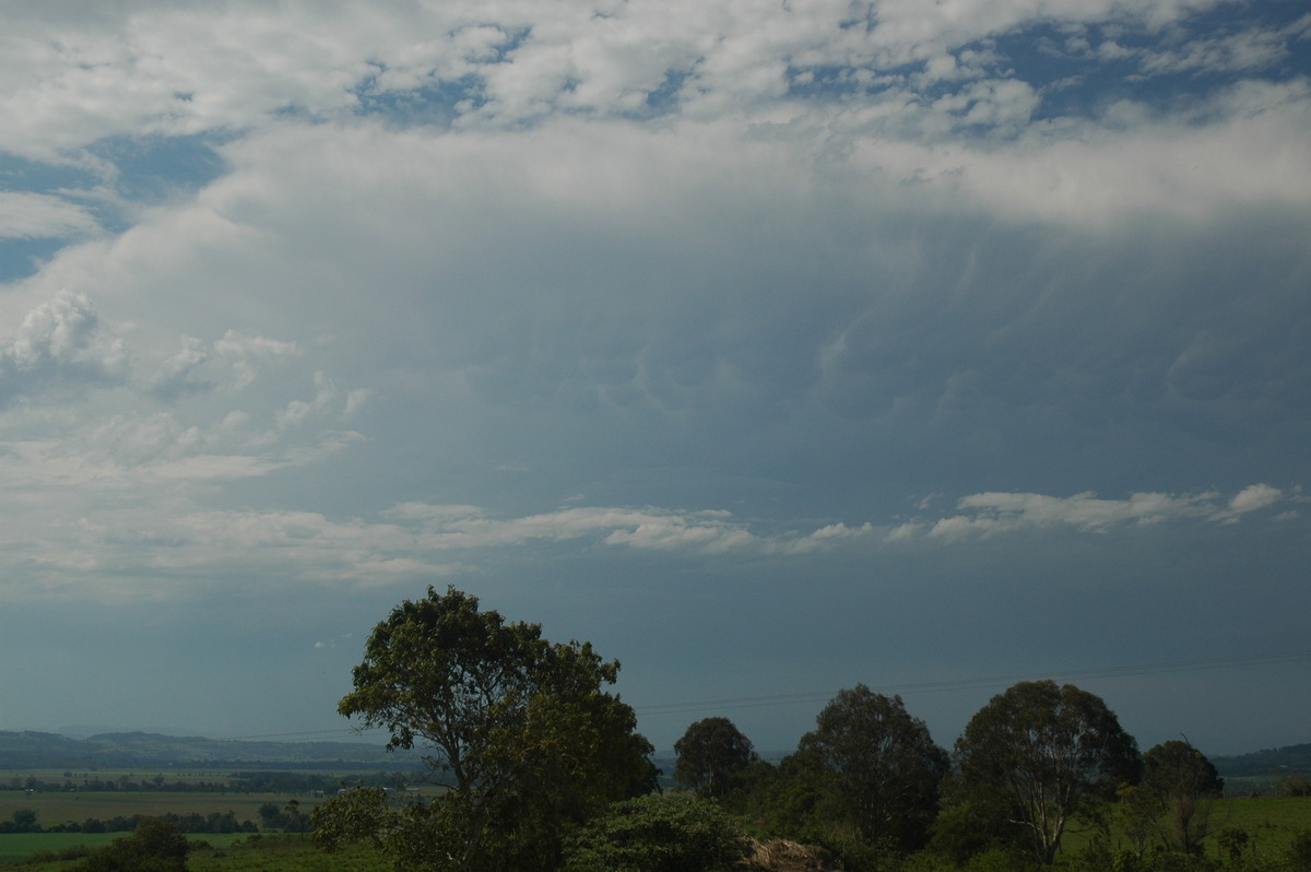 thunderstorm cumulonimbus_incus : near Coraki, NSW   13 December 2005