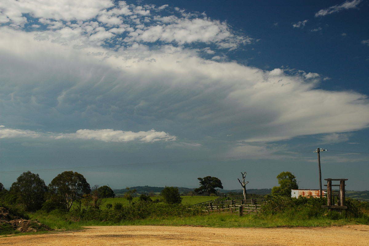 mammatus mammatus_cloud : near Coraki, NSW   13 December 2005