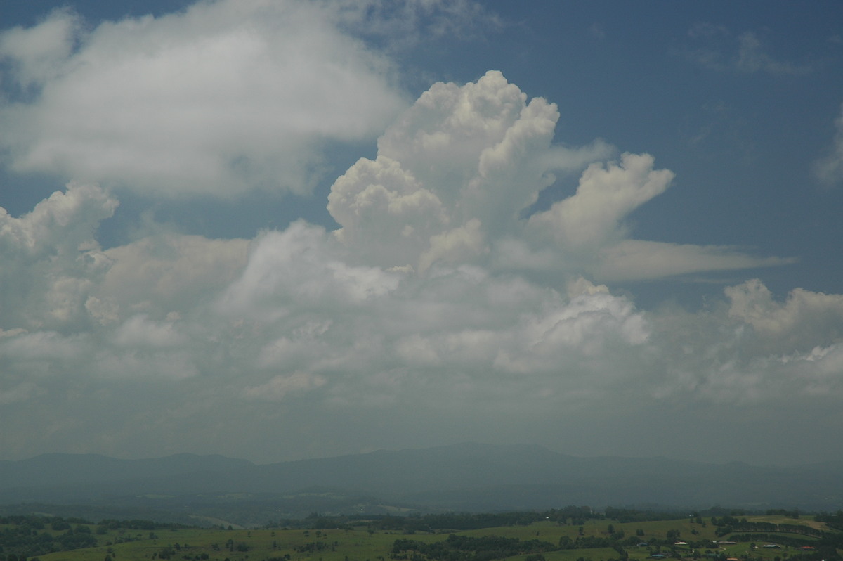 thunderstorm cumulonimbus_calvus : McLeans Ridges, NSW   14 December 2005