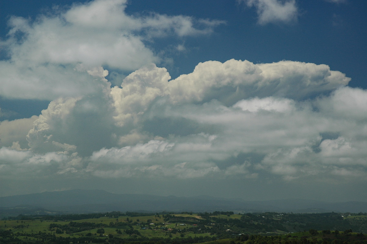 stratocumulus stratocumulus_cloud : McLeans Ridges, NSW   14 December 2005