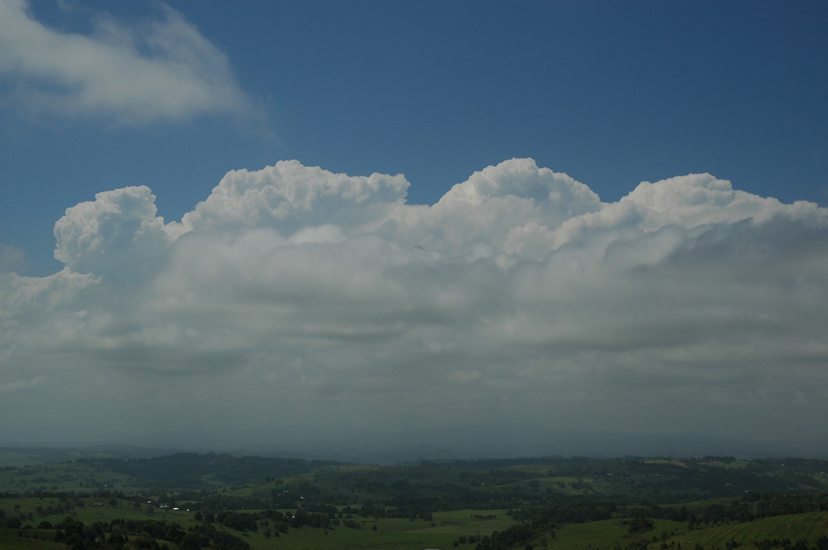 thunderstorm cumulonimbus_calvus : McLeans Ridges, NSW   14 December 2005