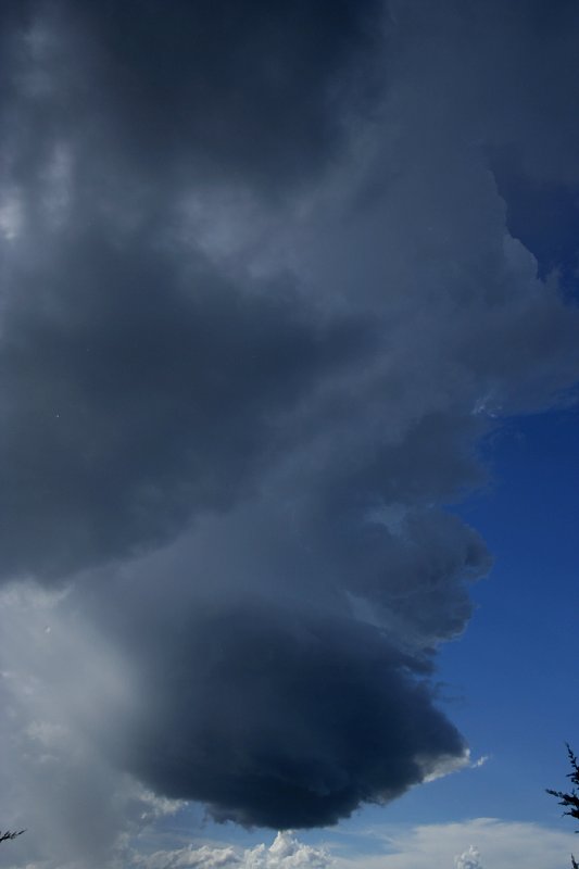 cumulonimbus thunderstorm_base : near Nabiac, NSW   17 December 2005