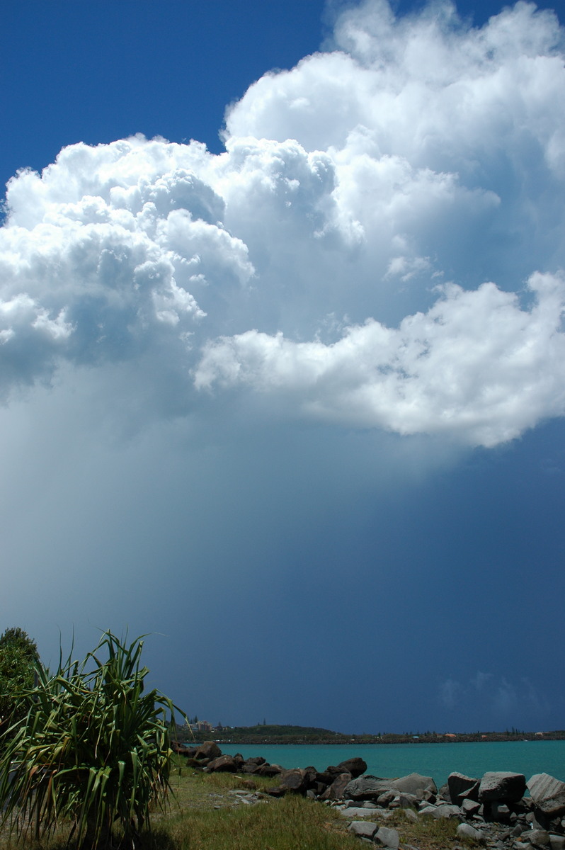 updraft thunderstorm_updrafts : Ballina, NSW   17 December 2005