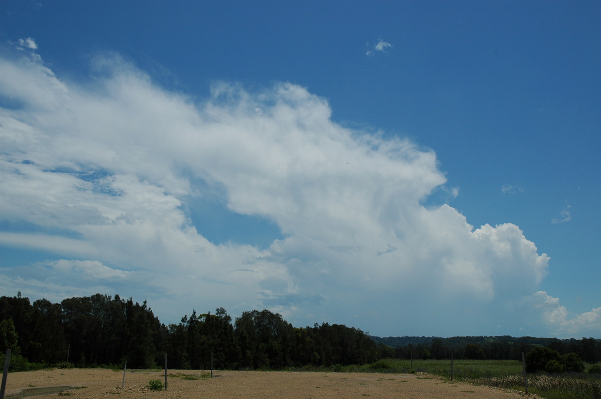 thunderstorm cumulonimbus_incus : Ballina, NSW   17 December 2005