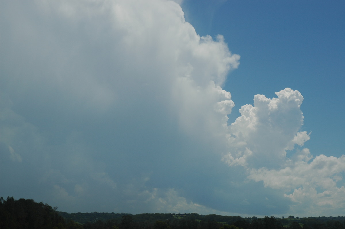 thunderstorm cumulonimbus_calvus : Ballina, NSW   17 December 2005