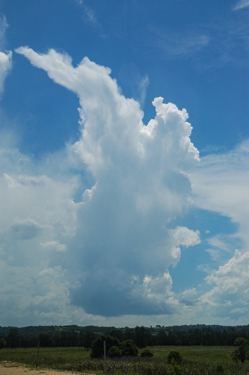 cumulus congestus : Ballina, NSW   17 December 2005