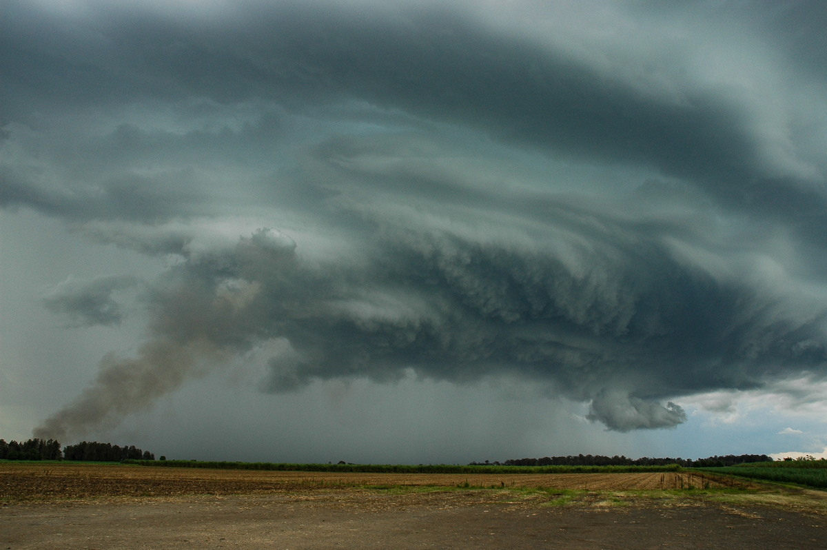 wallcloud thunderstorm_wall_cloud : W of Broadwater, NSW   17 December 2005