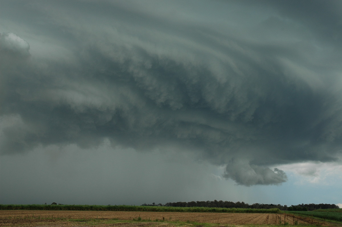 cumulonimbus thunderstorm_base : W of Broadwater, NSW   17 December 2005