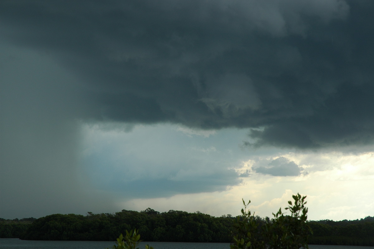 wallcloud thunderstorm_wall_cloud : Broadwater, NSW   17 December 2005