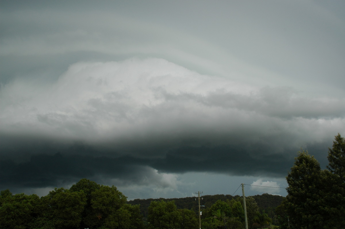 shelfcloud shelf_cloud : S of Ballina, NSW   17 December 2005