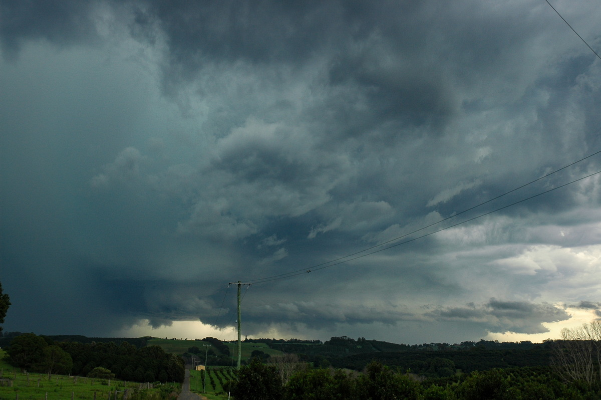 favourites michael_bath : Knockrow, NSW   17 December 2005