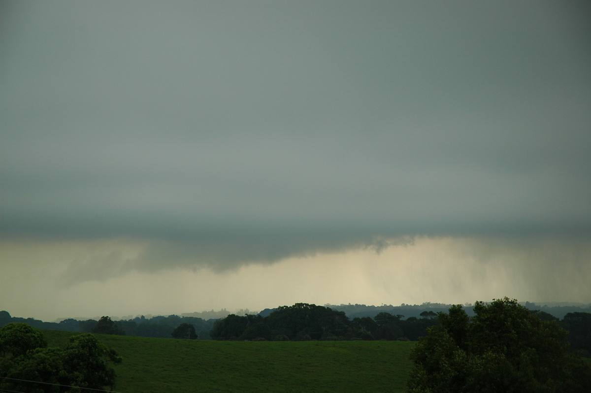 stratus stratus_cloud : Saint Helena, NSW   17 December 2005