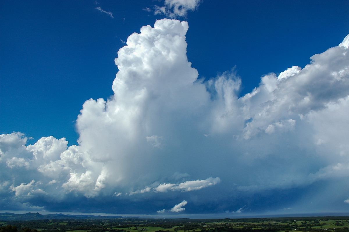 updraft thunderstorm_updrafts : Saint Helena, NSW   17 December 2005