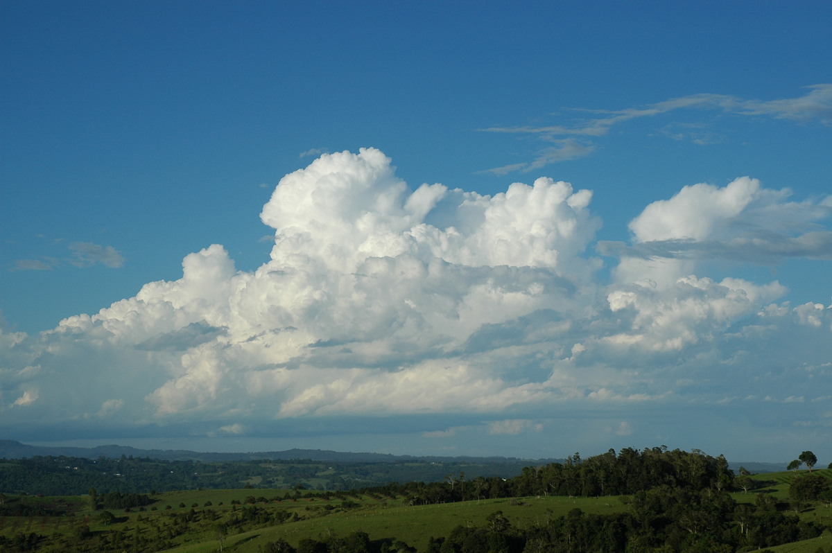 thunderstorm cumulonimbus_calvus : McLeans Ridges, NSW   17 December 2005